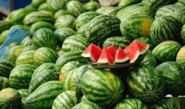 网络大瓜,揭秘娱乐圈幕后真相，带你走进明星隐私世界